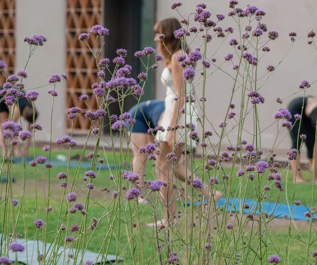 Lezione di Yoga all'aperto tra le fioriture, vicino a Montale (Pistoia)